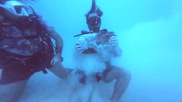 Faint signal leads treasure hunters to massive discovery at legendary 400-year-old wreck Faint signal leads treasure hunters to massive discovery at legendary 400-year-old wreck